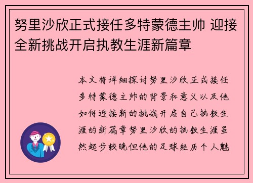 努里沙欣正式接任多特蒙德主帅 迎接全新挑战开启执教生涯新篇章